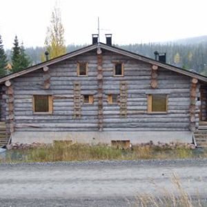 Rinnekieppi 2